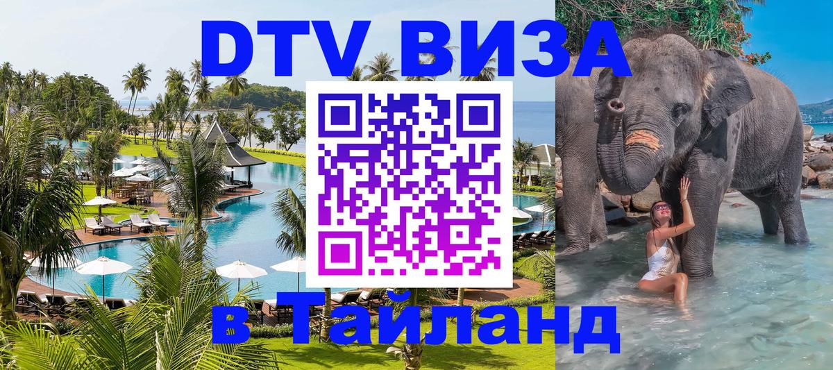 Оформление DTV визы под ключ: стоимость и тарифы, только загранпаспорт - Пхеньян 